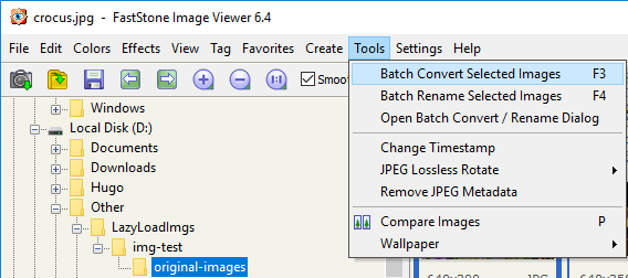 batch convert selected images in faststone image viewer