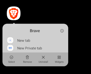 Brave browser app icon