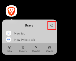 Brave browser app info button