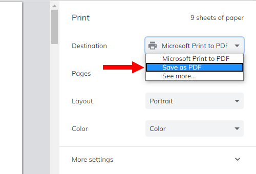 Brave print preview window