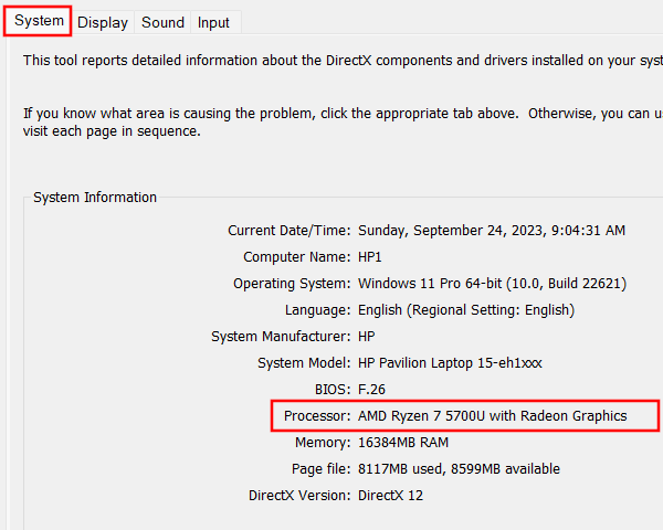 Check what processor you have in your PC using the DirectX Diagnostic Tool