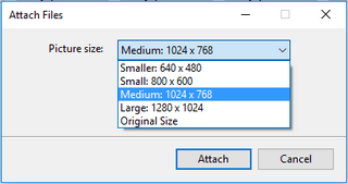 Choose a picture size