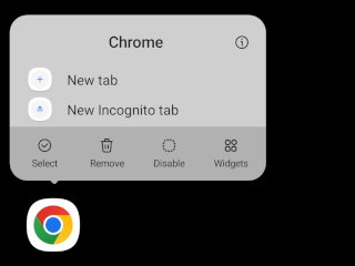 Chrome app icon