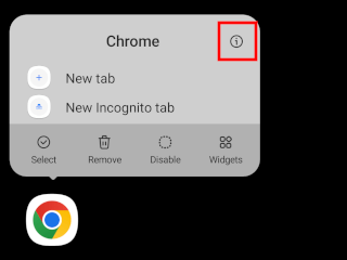 Chrome app info button