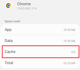 Chrome browser app cache