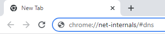 Chrome net-internals dns