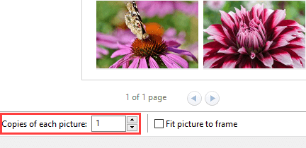 Copies of each picture option in Print Pictures wizard in Windows 10