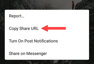 copy share url of instagram photo