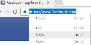 copy web address of website