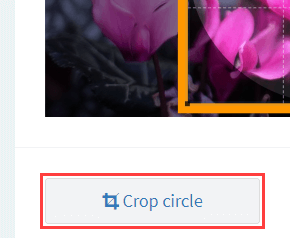 Crop circle button on ImageOnline.co