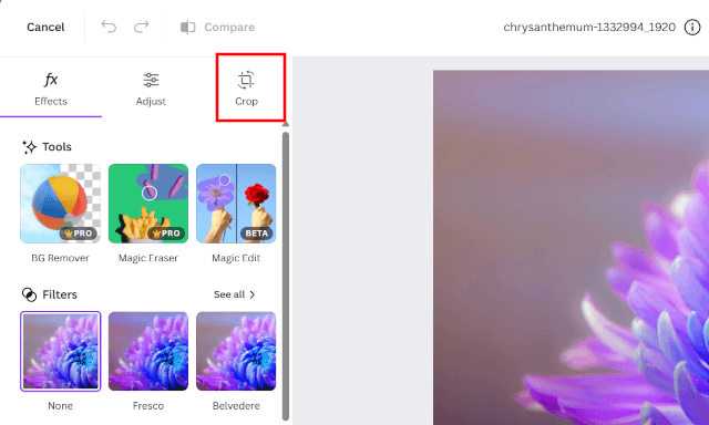 Crop tool on Canva