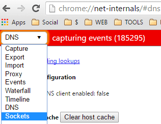 DNS Menu Google Chrome
