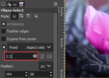 Enter 1:1 ratio in GIMP