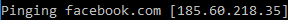 copy ip address of website using windows command prompt 2