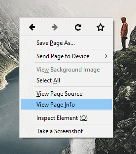 firefox view page info function