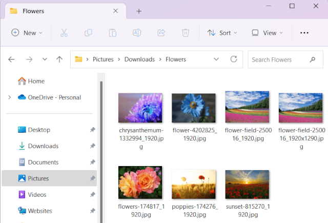 Folder with photos