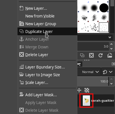 GIMP Duplicate Layer