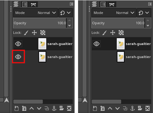 GIMP Item Visibility button