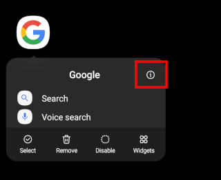 Google app info