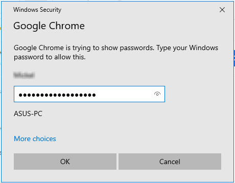 Google Chrome authentication window