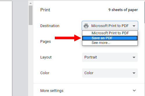Google Chrome print preview window