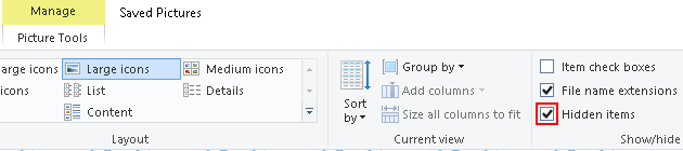 Hidden items option in File Explorer in Windows 10