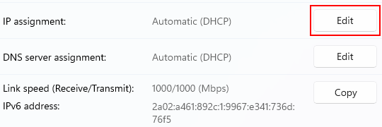 IP assignment in Windows 11