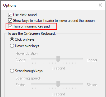Keyboard options window