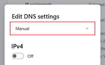 Manual DNS settings