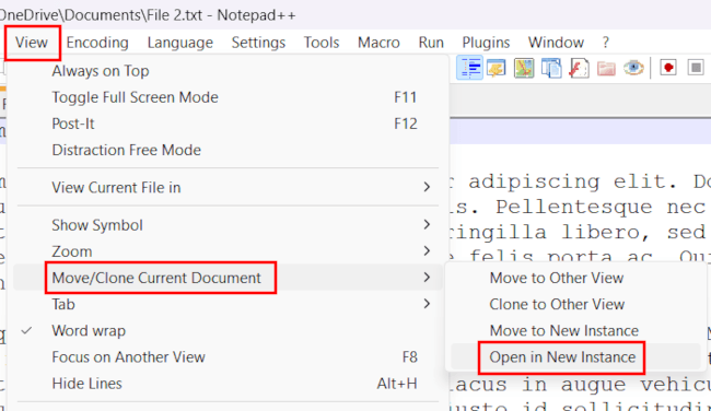 Open a file in a new window in Notepad++