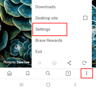 Ouvrir les paramètres dans Brave sur Android