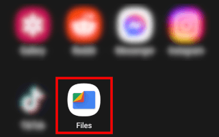 Open the Files by Google app