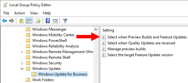 Open the Select when Preview Builds and Feature Updates are received settings in Windows 10
