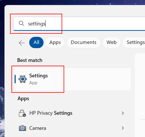 Open Windows 11 settings using search