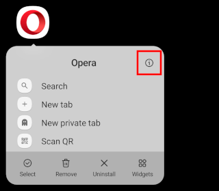 Opera mobile app info button