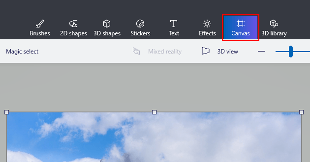 Paint 3D Canvas options