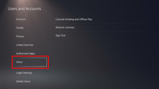 PS5 Other settings