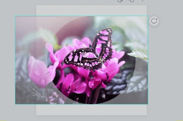 Reposition a picture on Canva