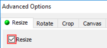 resize images option in faststone image viewer