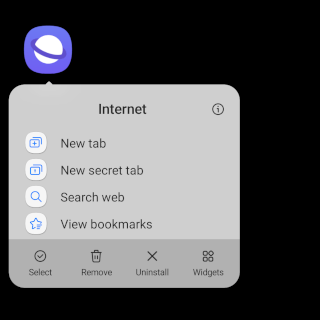 Samsung Internet app icon