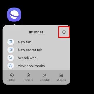Samsung Internet info button