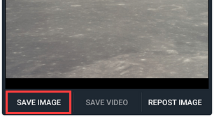 Save image button