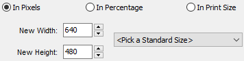 select a size in faststone image viewer