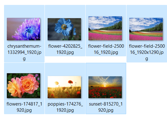 Select photos
