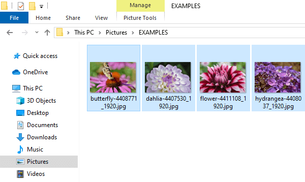 Select pictures in Windows Explorer