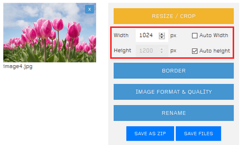 Select the width or height in pixels for the images on birme.net