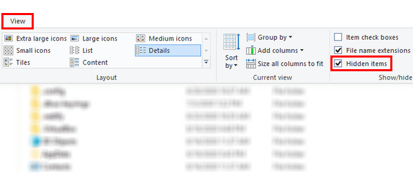 Show hidden items in Windows 10 File Explorer