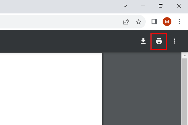 Web browser print button