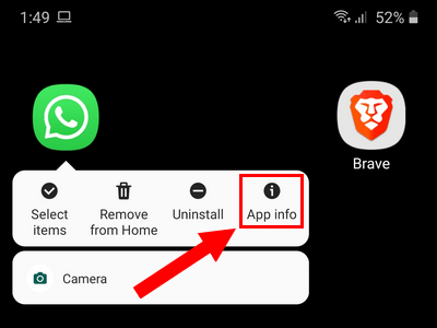 WhatsApp app info