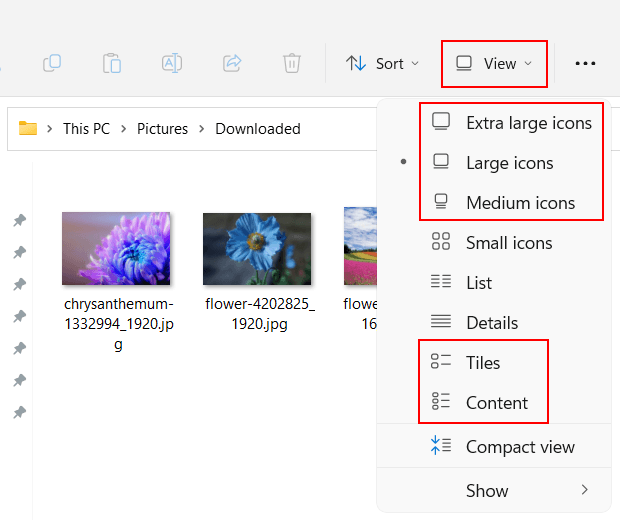 Windows 11 file explorer folder view options